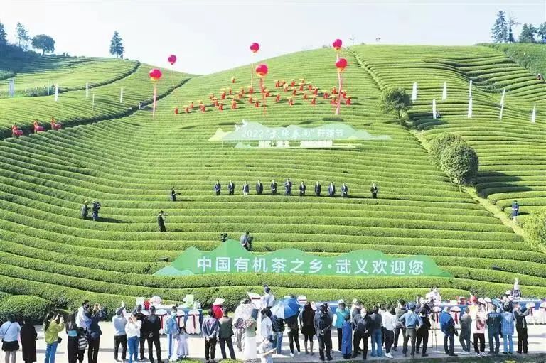 有关于这片上过央视的“醉美”茶园，盼修复的资讯(2)