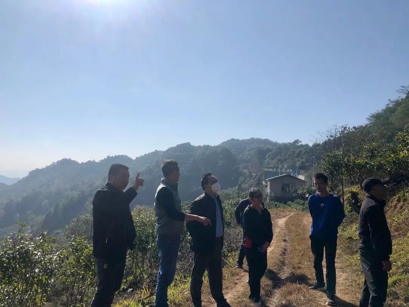 有关于普洱市茶咖中心到景谷开展茶咖产业发展情况调研的资讯(2)