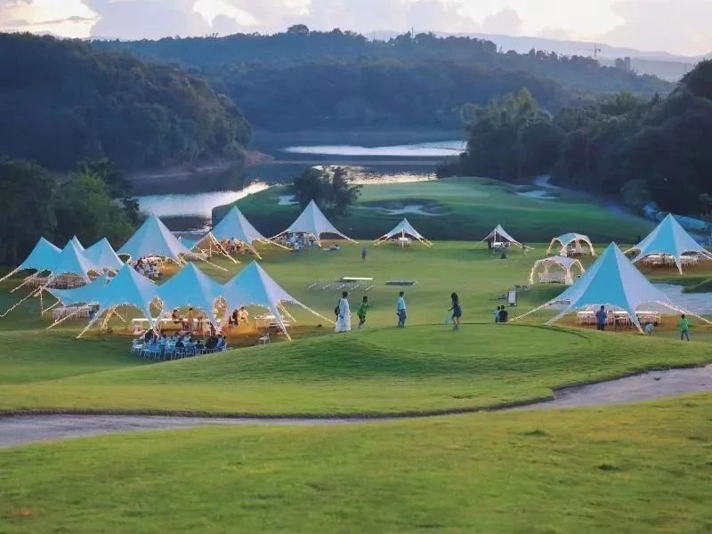 有关于云南：喜看西双版纳勐海“康养度假游+茶旅”好风光的相关内容(8)