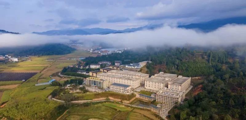 有关于云南：喜看西双版纳勐海“康养度假游+茶旅”好风光的相关内容(10)