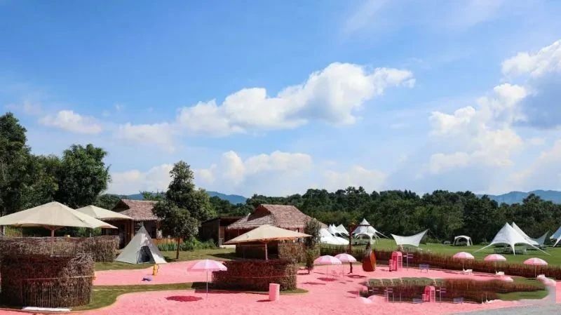 有关于云南：喜看西双版纳勐海“康养度假游+茶旅”好风光的相关内容(1)