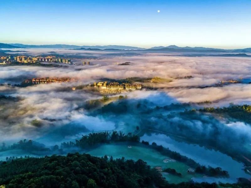 有关于云南：喜看西双版纳勐海“康养度假游+茶旅”好风光的相关内容(3)