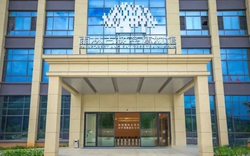 有关于云南：喜看西双版纳勐海“康养度假游+茶旅”好风光的相关内容(11)