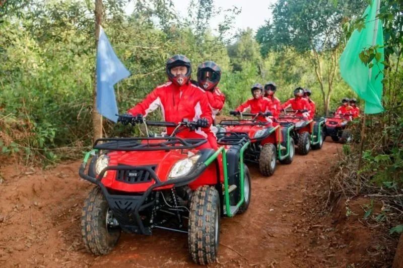 有关于云南：喜看西双版纳勐海“康养度假游+茶旅”好风光的相关内容(6)