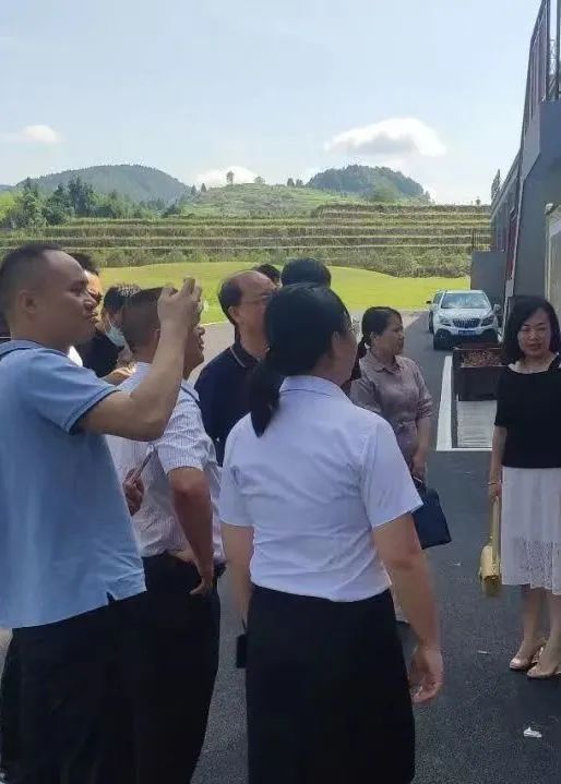 关于2022年湘西黄金茶年度大事件的新闻(6)