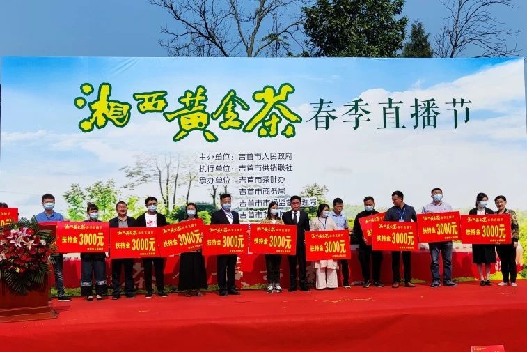 关于2022年湘西黄金茶年度大事件的新闻(2)