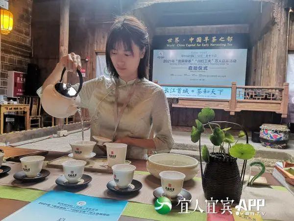有关于新年开新局！2023年宜宾首单茶叶出口乌兹别克斯坦的最新消息(1)
