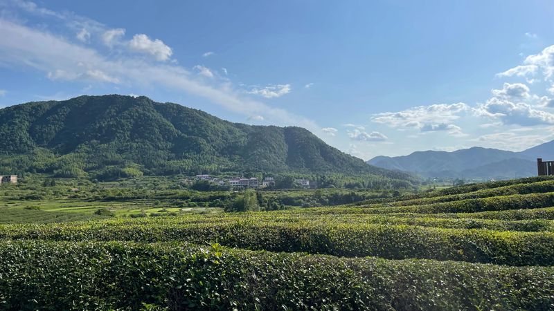 有关于移民新村展新颜 美丽蜕变促振兴的相关内容(1)