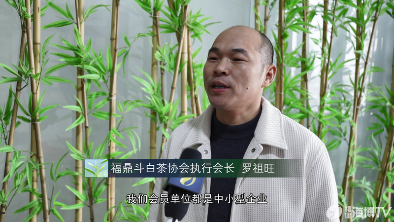 有关于统筹“三茶”高质量发展 守好福鼎白茶品质初心的消息(2)