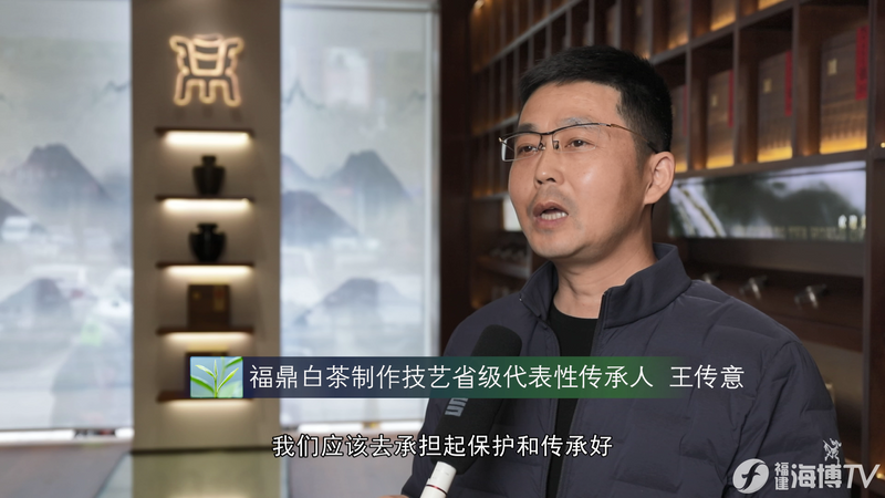 有关于统筹“三茶”高质量发展 守好福鼎白茶品质初心的消息(4)