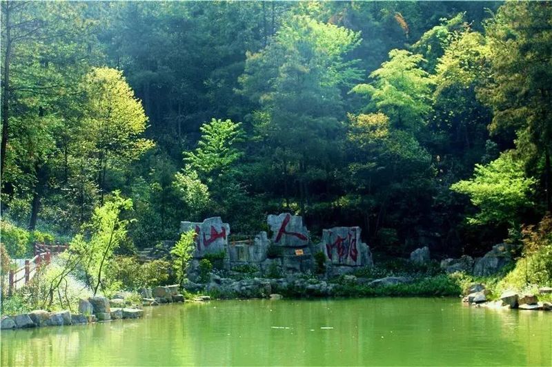 关于中国西部最美茶园——茶海之心的信息(5)