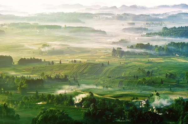 关于中国西部最美茶园——茶海之心的信息