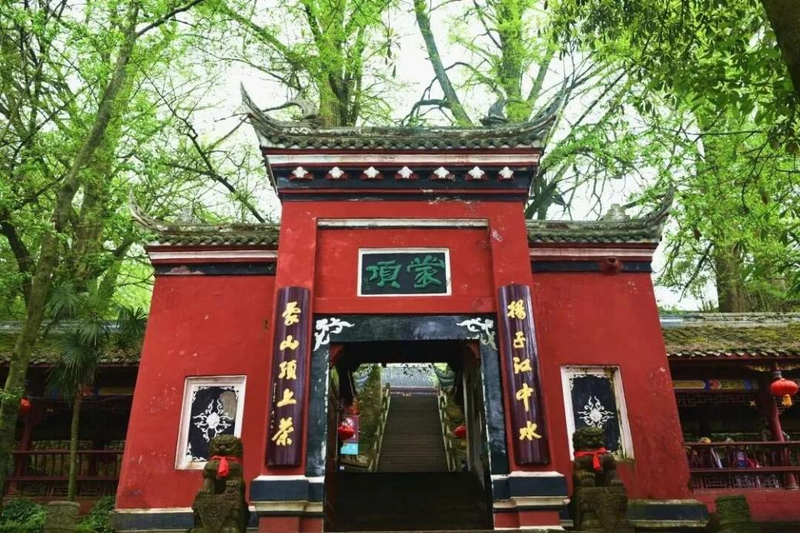关于聚焦茶非遗！探究蒙山茶千年不衰的秘密的新闻(1)