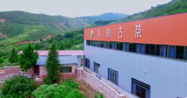 关于湖南红茶“十大产品品牌”之冯城古茶：瑶都佳茗誉神州的消息(4)