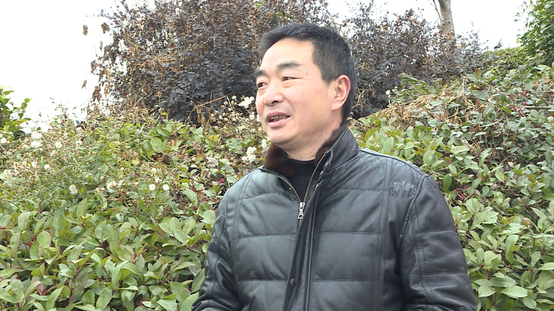有关于网络中国节·春节，游客来湄潭看“海”的相关内容(2)