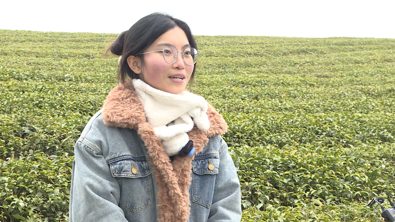 有关于网络中国节·春节，游客来湄潭看“海”的相关内容(4)