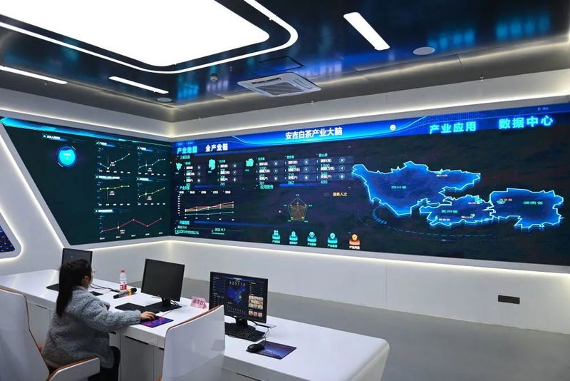 关于在《新华每日电讯》，闻见“共富茶”香的消息(7)