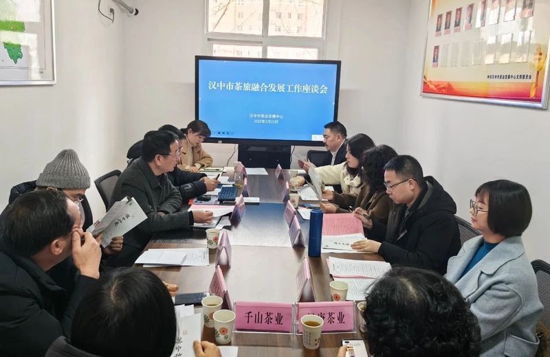 有关于汉中茶旅融合发展工作座谈会为汉中茶产业高质量发展提挡加速的内容(1)