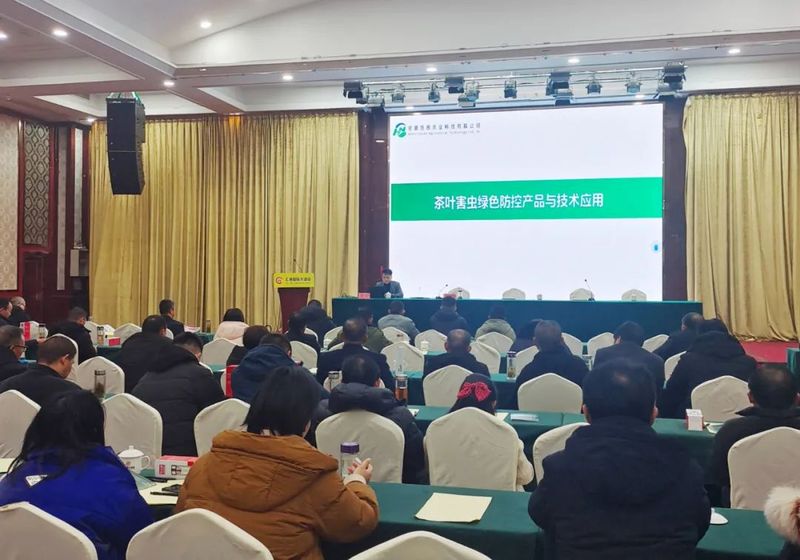 关于太湖县茶业盛会紧扣“安全、绿色、品牌”三大主题的最新消息(3)