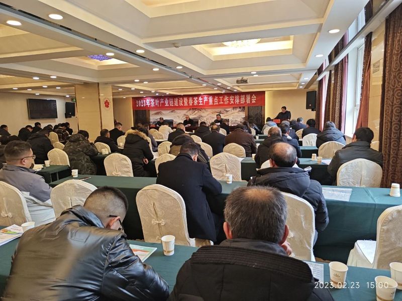 有关于宁强县召开2023年茶叶产业链建设暨春茶生产重点工作会的最新消息
