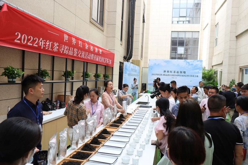 关于乡村振兴为抓手，聚焦绿色生态茶产区的高质量发展的相关内容(10)