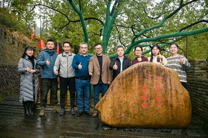 关于乡村振兴为抓手，聚焦绿色生态茶产区的高质量发展的相关内容(8)