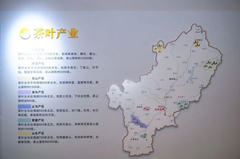 关于乡村振兴为抓手，聚焦绿色生态茶产区的高质量发展的相关内容(11)