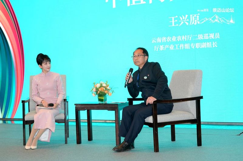 有关于破局2023 共话“中国茶·新格局”，第四届景迈山论坛圆满落幕的资讯(19)