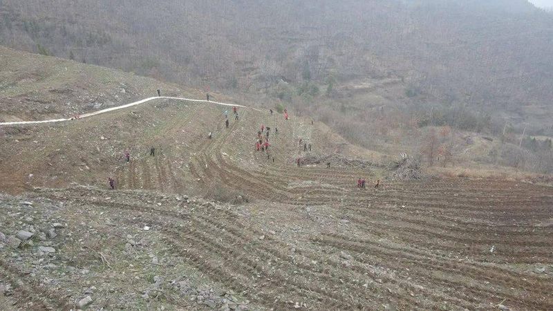 有关于400万株茶苗“闹春耕” 拓宽增收致富路 的最新消息(1)