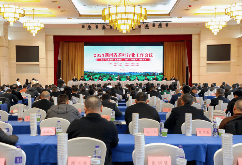 关于安化茶产业在湖南省茶叶行业工作会议上获多项表彰的最新消息