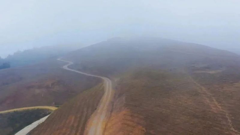关于春天里：贵州三都、紫云、关岭种茶管茶的信息(11)