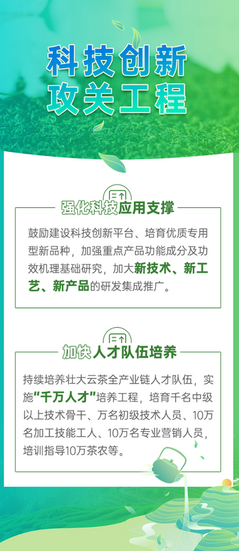 关于从大到强 云南茶叶产业的这个春天很暖的消息(10)