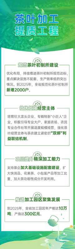 关于从大到强 云南茶叶产业的这个春天很暖的消息(8)
