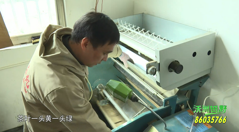 有关于大佛龙井：“养”好机器 备战春茶季的内容(1)