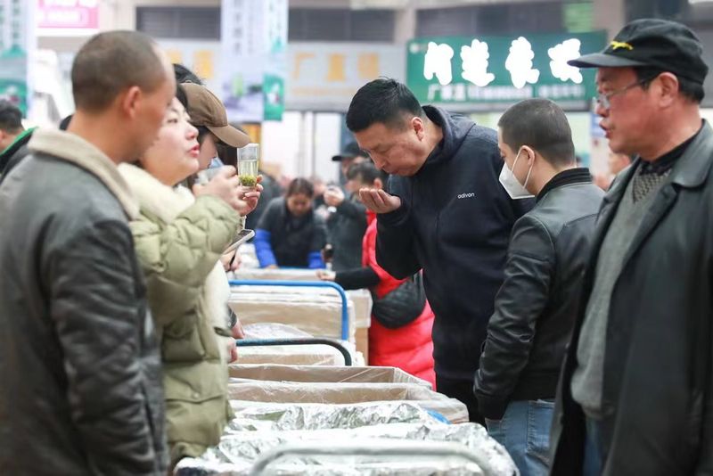 关于蒙顶山茶区第一背篓茶上市,迎来“开门红”的相关内容(5)