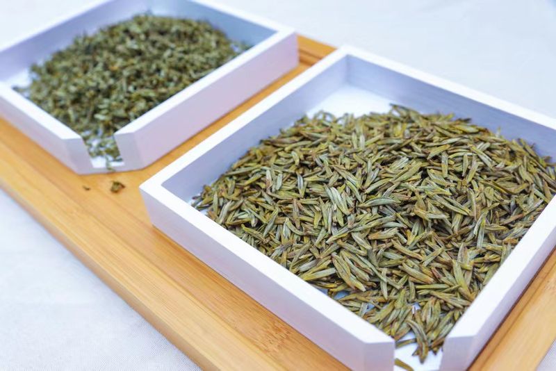 关于蒙顶山茶区第一背篓茶上市,迎来“开门红”的相关内容(8)