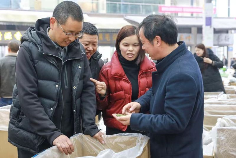 关于蒙顶山茶区第一背篓茶上市,迎来“开门红”的相关内容(7)
