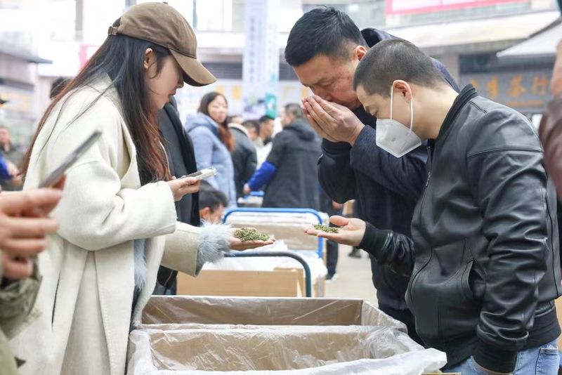 关于蒙顶山茶区第一背篓茶上市,迎来“开门红”的相关内容(6)