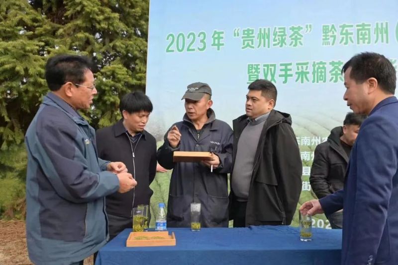 关于2023年春茶开采啦！黔东南州唱响乡村振兴“采茶歌”的相关内容(2)