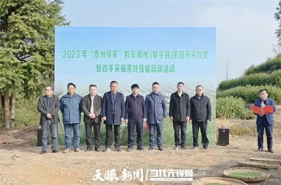 关于2023年春茶开采啦！黔东南州唱响乡村振兴“采茶歌”的相关内容