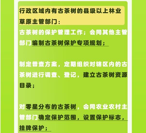 关于一图速览《云南省古茶树保护条例》的信息(5)