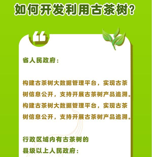 关于一图速览《云南省古茶树保护条例》的信息(9)