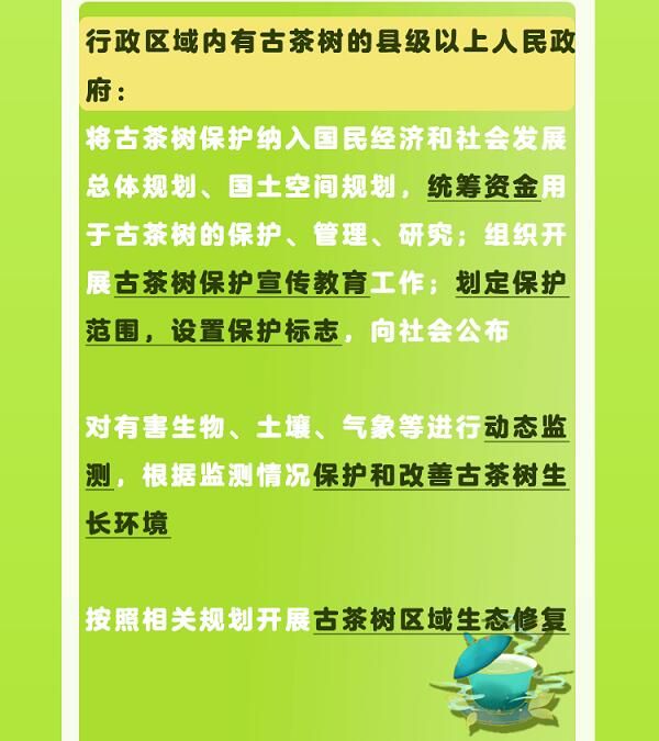 关于一图速览《云南省古茶树保护条例》的信息(4)