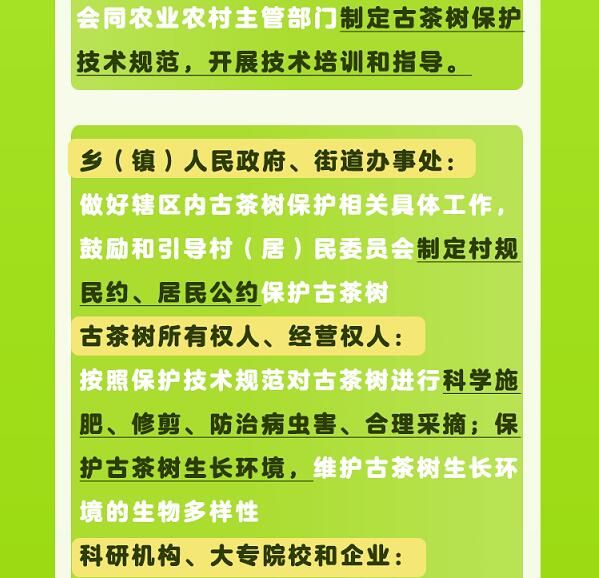 关于一图速览《云南省古茶树保护条例》的信息(6)