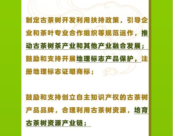 关于一图速览《云南省古茶树保护条例》的信息(10)