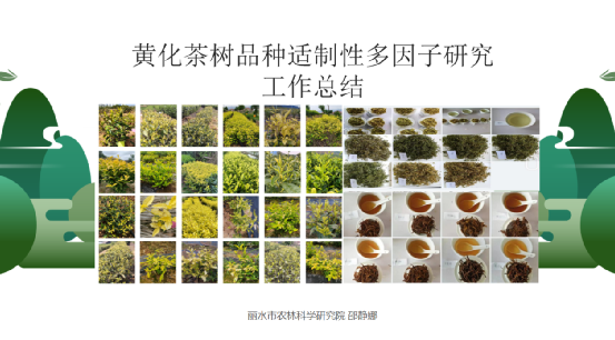关于科技创新，赋能产业发展——2020-2022浙江省茶叶产业技术项目总结交流会在泰顺举行的消息(16)