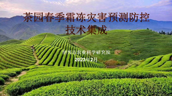 关于科技创新，赋能产业发展——2020-2022浙江省茶叶产业技术项目总结交流会在泰顺举行的消息(13)