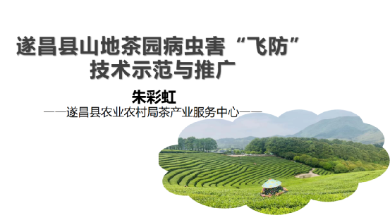 关于科技创新，赋能产业发展——2020-2022浙江省茶叶产业技术项目总结交流会在泰顺举行的消息(19)