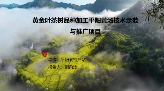 关于科技创新，赋能产业发展——2020-2022浙江省茶叶产业技术项目总结交流会在泰顺举行的消息(22)