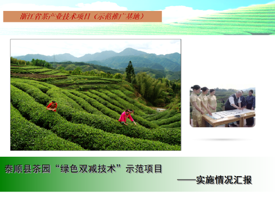 关于科技创新，赋能产业发展——2020-2022浙江省茶叶产业技术项目总结交流会在泰顺举行的消息(11)